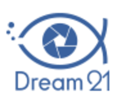 Dream21 DMC