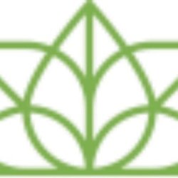 Forestry Token FORESTRY