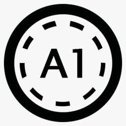 A1 Coin A1