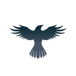 Raven Protocol RAVEN