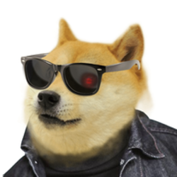 DogeFi DOGEFI