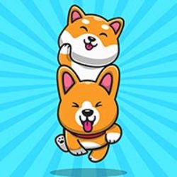 CoShi Inu COSHI