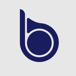 BKEX Token BKK