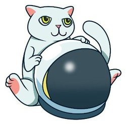 Cat Token CAT