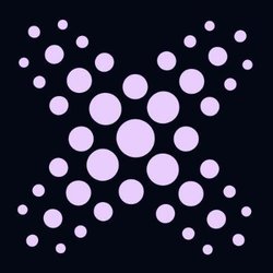 XCredit XFYI