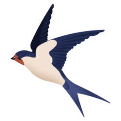 Koel Coin KOEL
