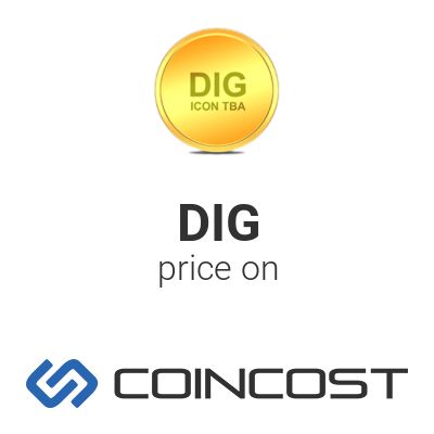 Dignity Dig Price Chart Online Dig Market Cap Volume And Other Live And Historical Cryptocurrency Market Data Dignity Forecast For 2021 Coincost